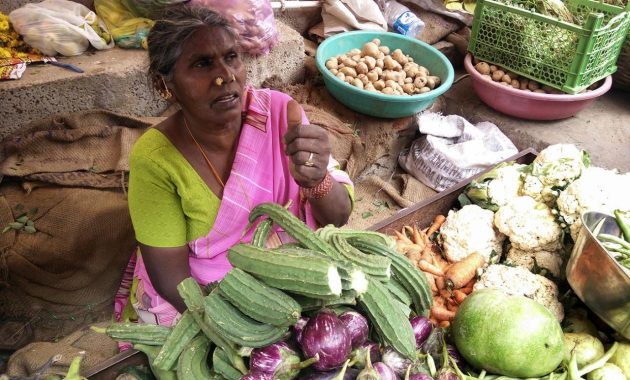 Selling Educational Toys in the Digital Marketplace