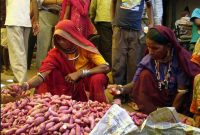 Selling Hardware Products on B2B Platforms A Guide to Success Selling Hardware Products on B2B Platforms A Guide to Success