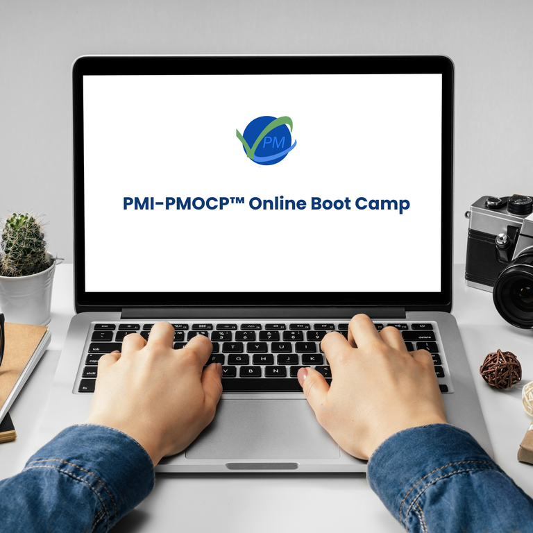 Soul Shruggie – Holeco Online Online vs. Offline Shopping for Decoration Pros and Cons