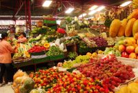 How to Market New Tech Startups to Early Adopters