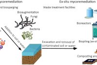 Emerging Gadget Brands to Watch This Year