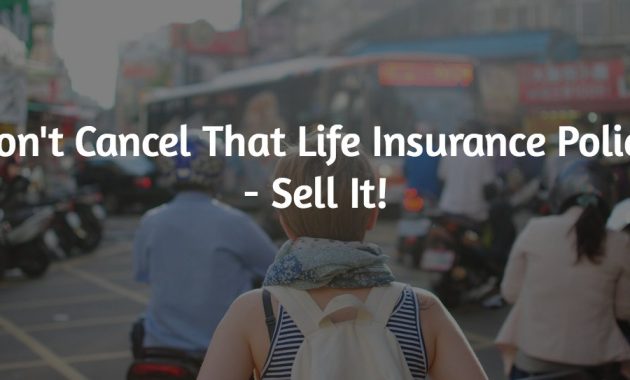 How to Sell Life Insurance Online Successfully How to Sell Life Insurance Online Successfully